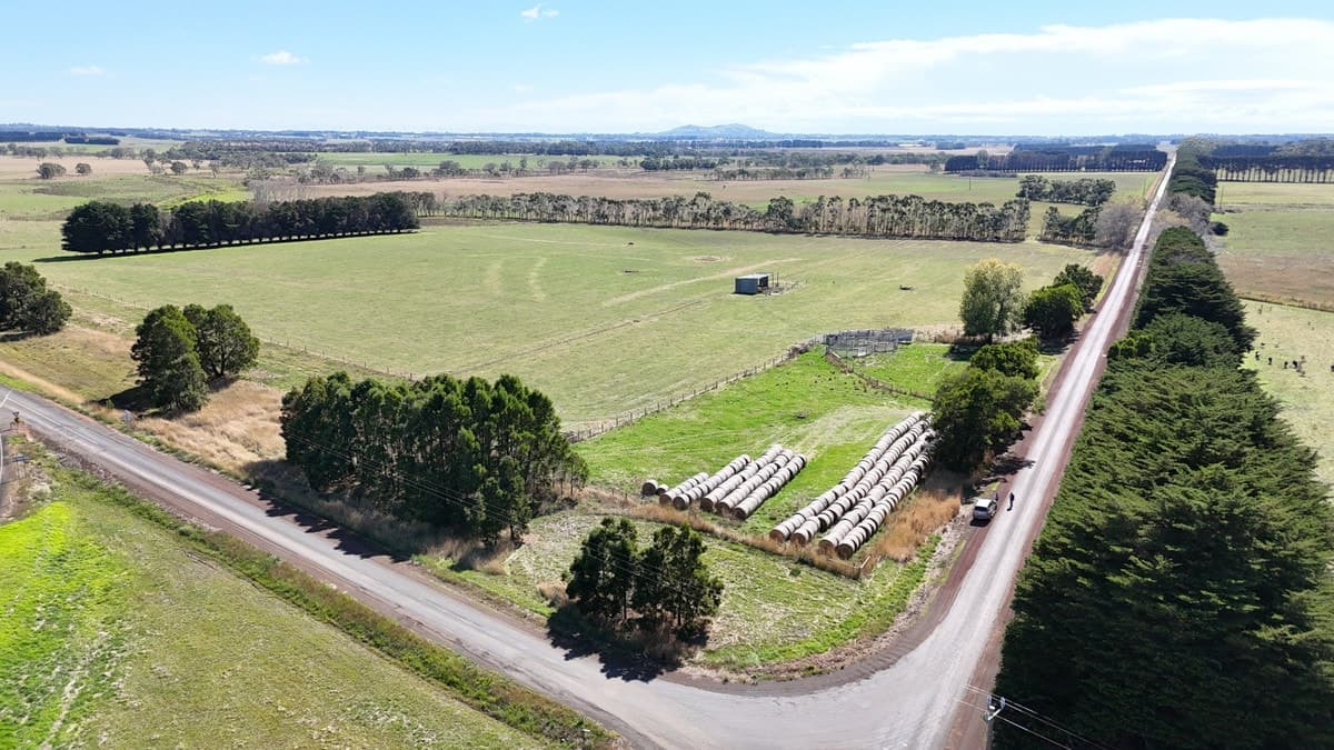 Cobden-Terang Road, Cobrico, VIC, Cobrico - Image 1