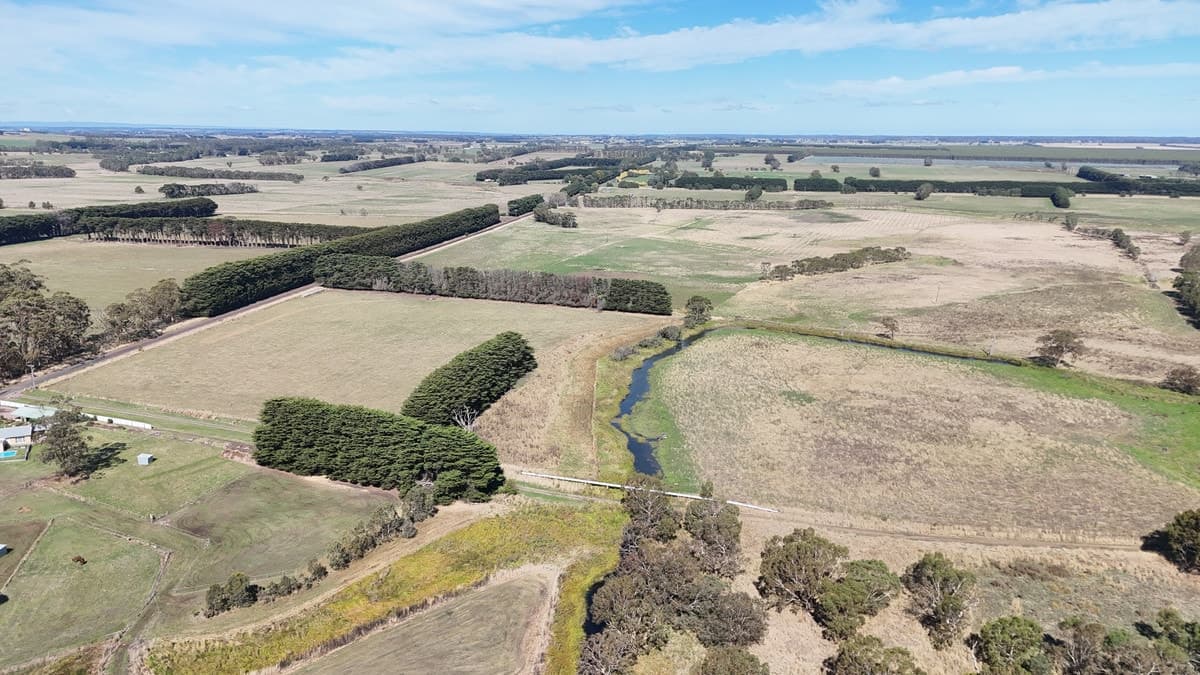 Cobden-Terang Road, Cobrico, VIC, Cobrico - Thumbnail 2