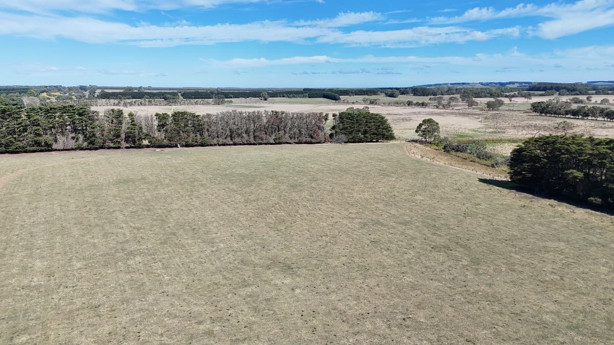 Cobden-Terang Road, Cobrico, VIC, Cobrico - Thumbnail 4