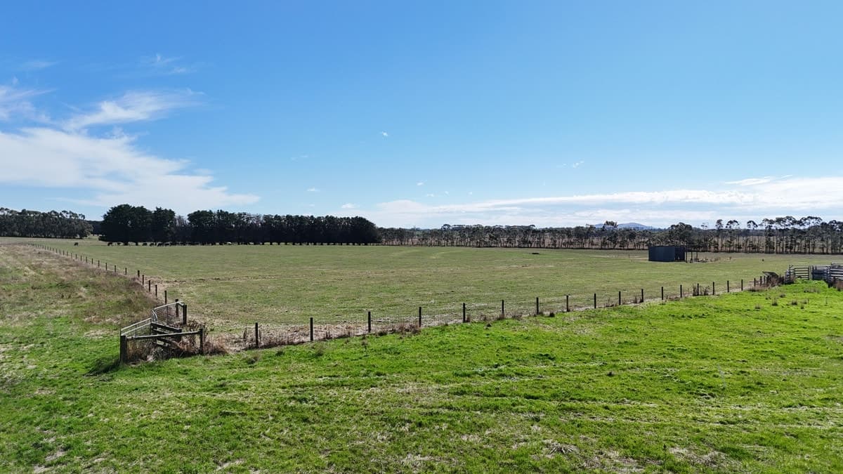 Cobden-Terang Road, Cobrico, VIC, Cobrico - Thumbnail 5