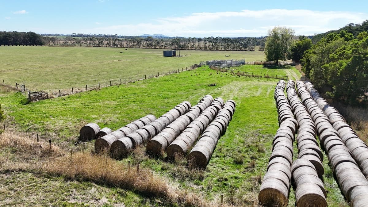 Cobden-Terang Road, Cobrico, VIC, Cobrico - Thumbnail 6