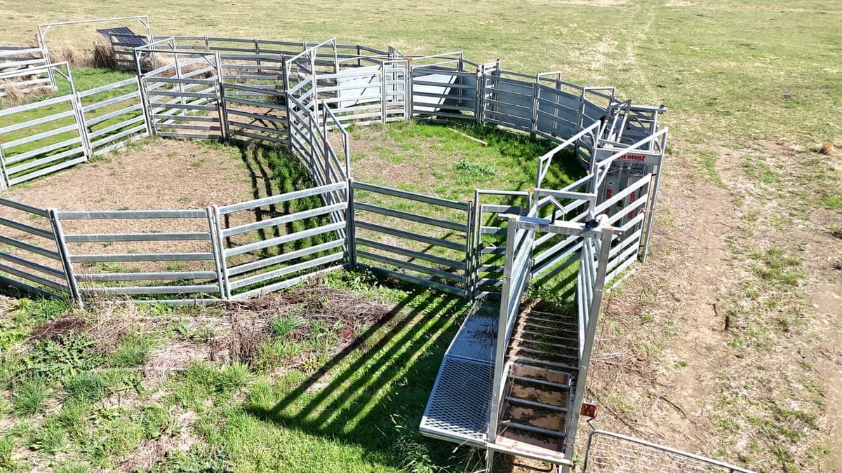 Cobden-Terang Road, Cobrico, VIC, Cobrico - Thumbnail 7