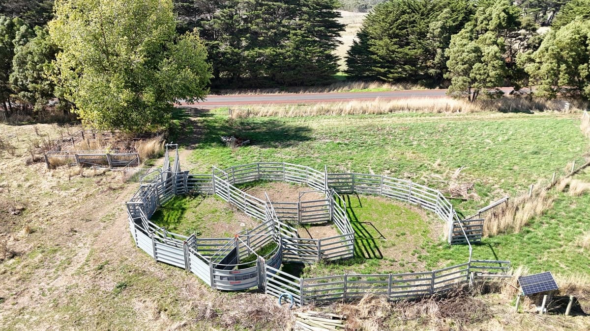 Cobden-Terang Road, Cobrico, VIC, Cobrico - Thumbnail 8