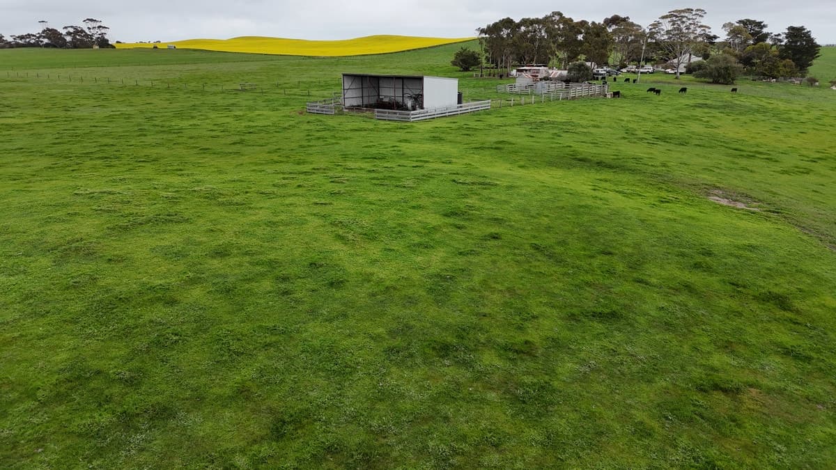 215 Cundare-Duverney Road, Cundare North, VIC, Cundare North - Thumbnail 5