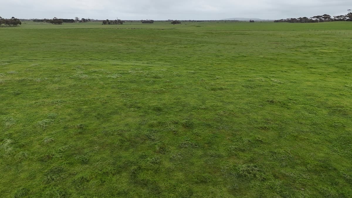 215 Cundare-Duverney Road, Cundare North, VIC, Cundare North - Thumbnail 7