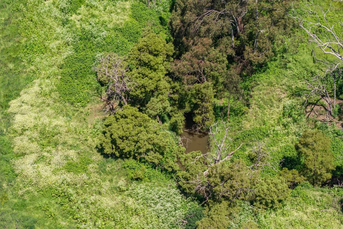 265 Pennyroyal Station Road, Pennyroyal, VIC, Pennyroyal - Thumbnail 8