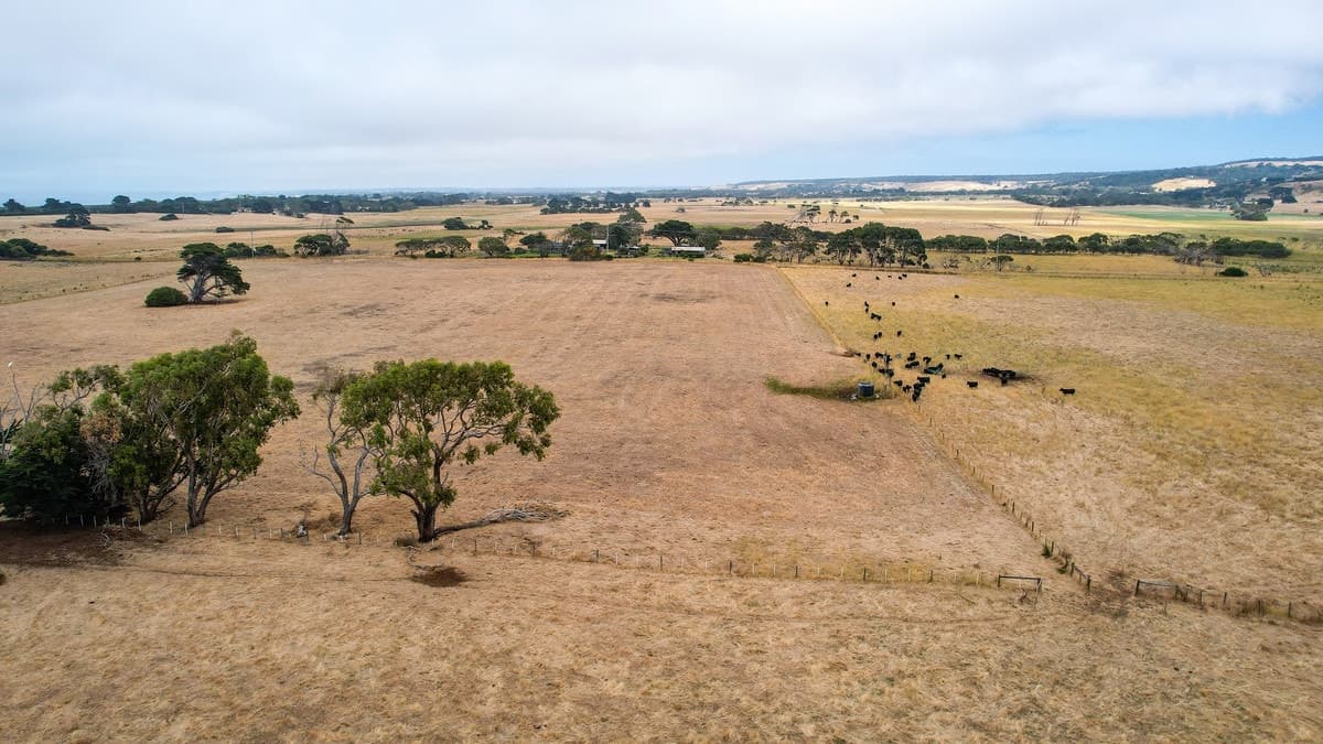 6 Orchards Road, Narrawong, VIC, Narrawong - Thumbnail 4