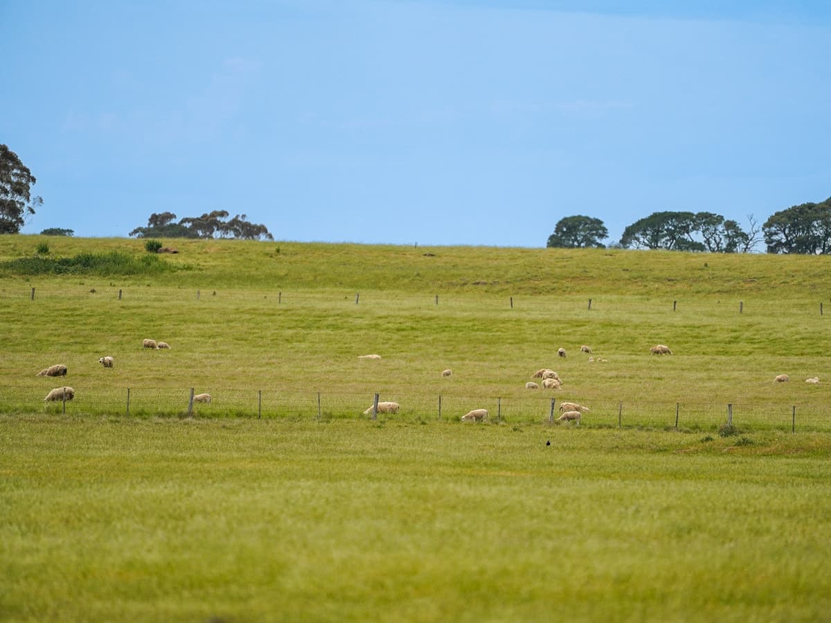 Huf's Back Lane, Warrayure, VIC, Warrayure - Thumbnail 3