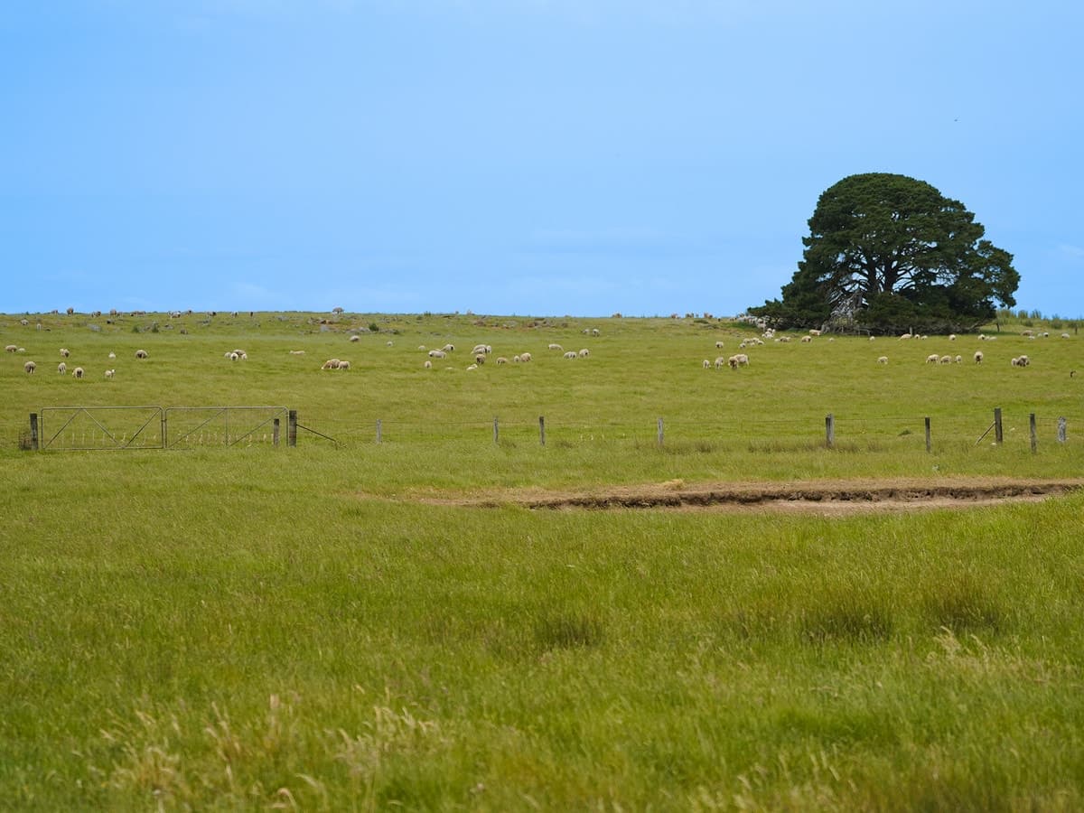 Huf's Back Lane, Warrayure, VIC, Warrayure - Thumbnail 5
