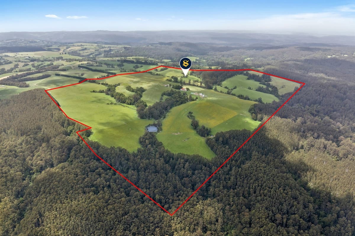 4230 Colac-Lavers Hill Road, Weeaproinah, VIC, Weeaproinah - Image 1