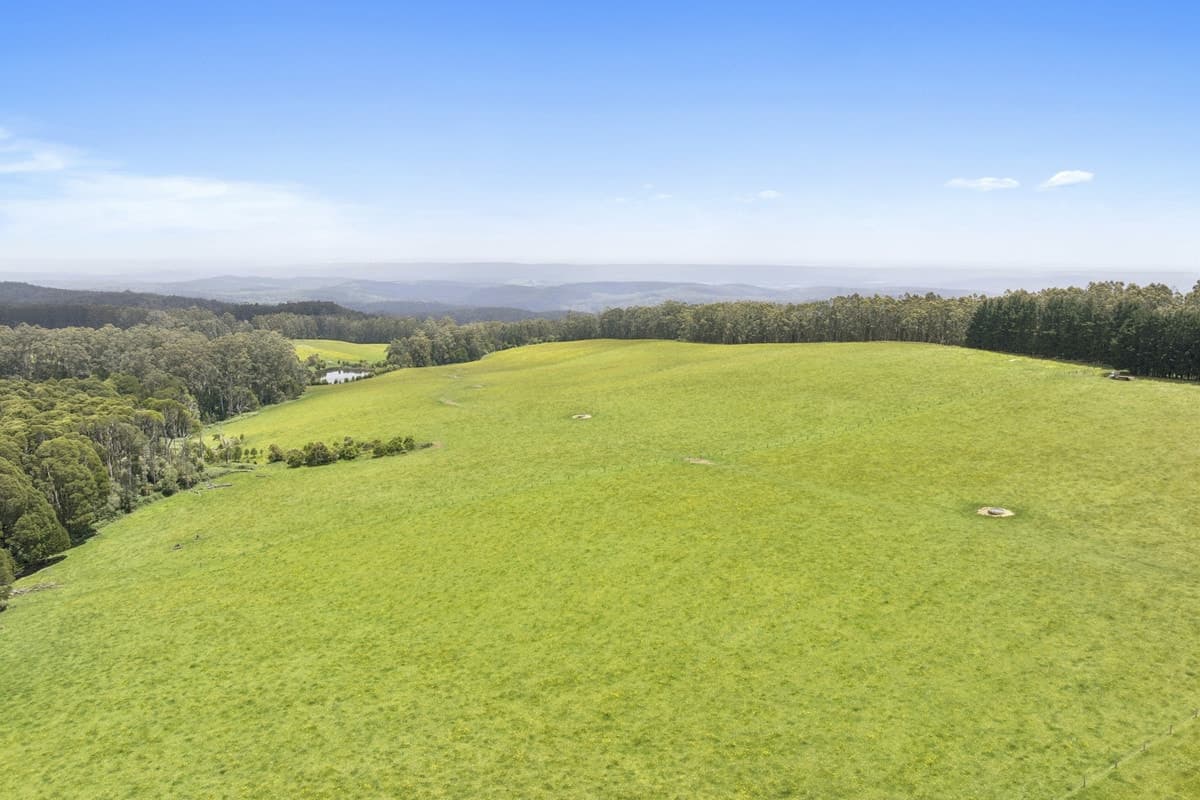 4230 Colac-Lavers Hill Road, Weeaproinah, VIC, Weeaproinah - Thumbnail 3