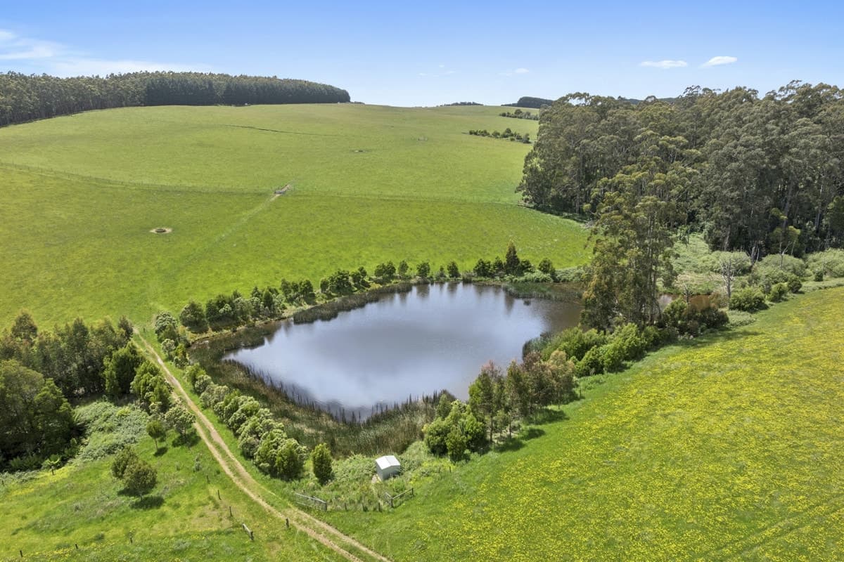 4230 Colac-Lavers Hill Road, Weeaproinah, VIC, Weeaproinah - Thumbnail 4