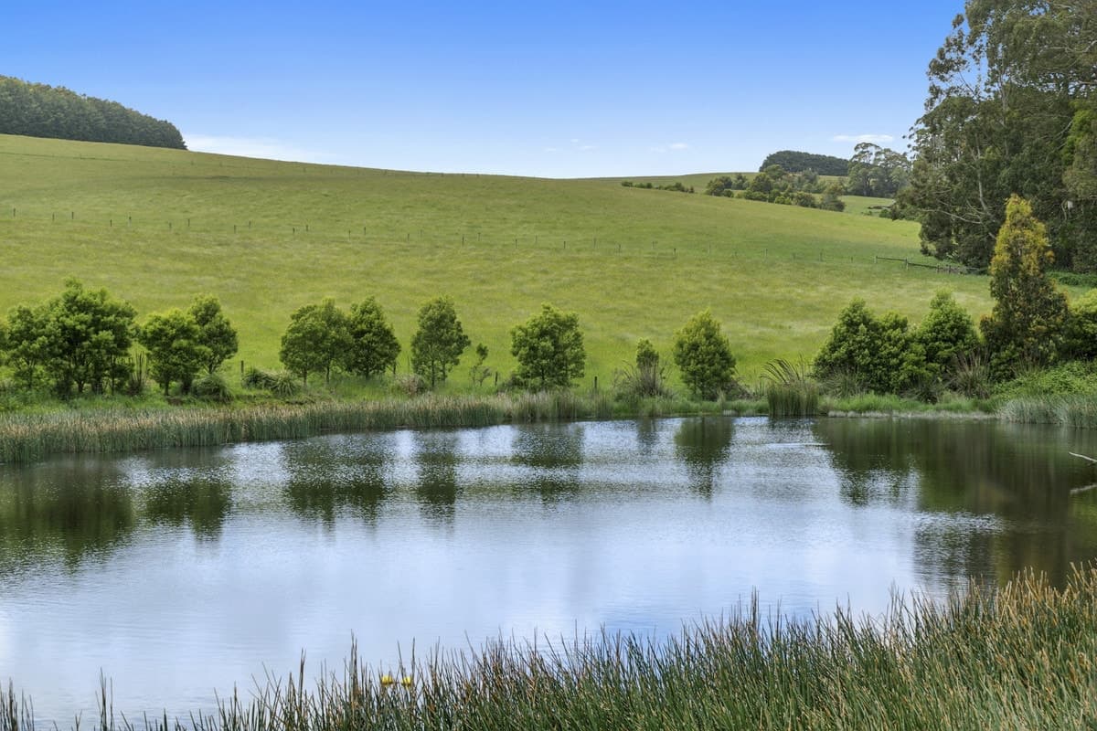 4230 Colac-Lavers Hill Road, Weeaproinah, VIC, Weeaproinah - Thumbnail 6