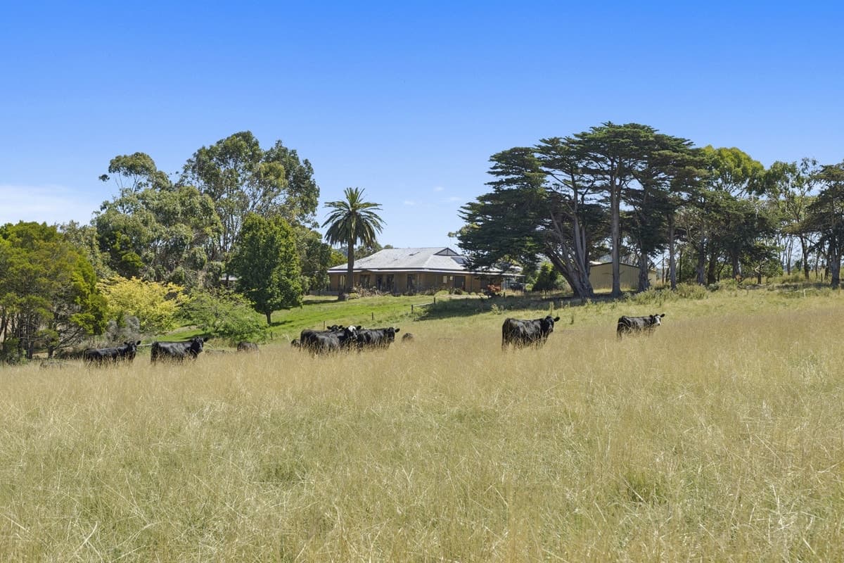 1940 Cobden-Port Campbell Road, Newfield, VIC, Newfield - Thumbnail 5