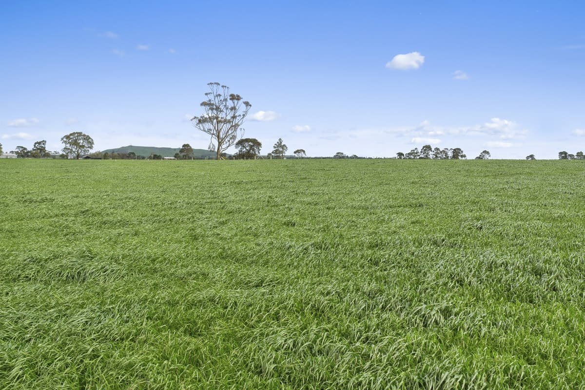 280 Ondit-Warrion Road, Ondit, VIC, Ondit - Thumbnail 6