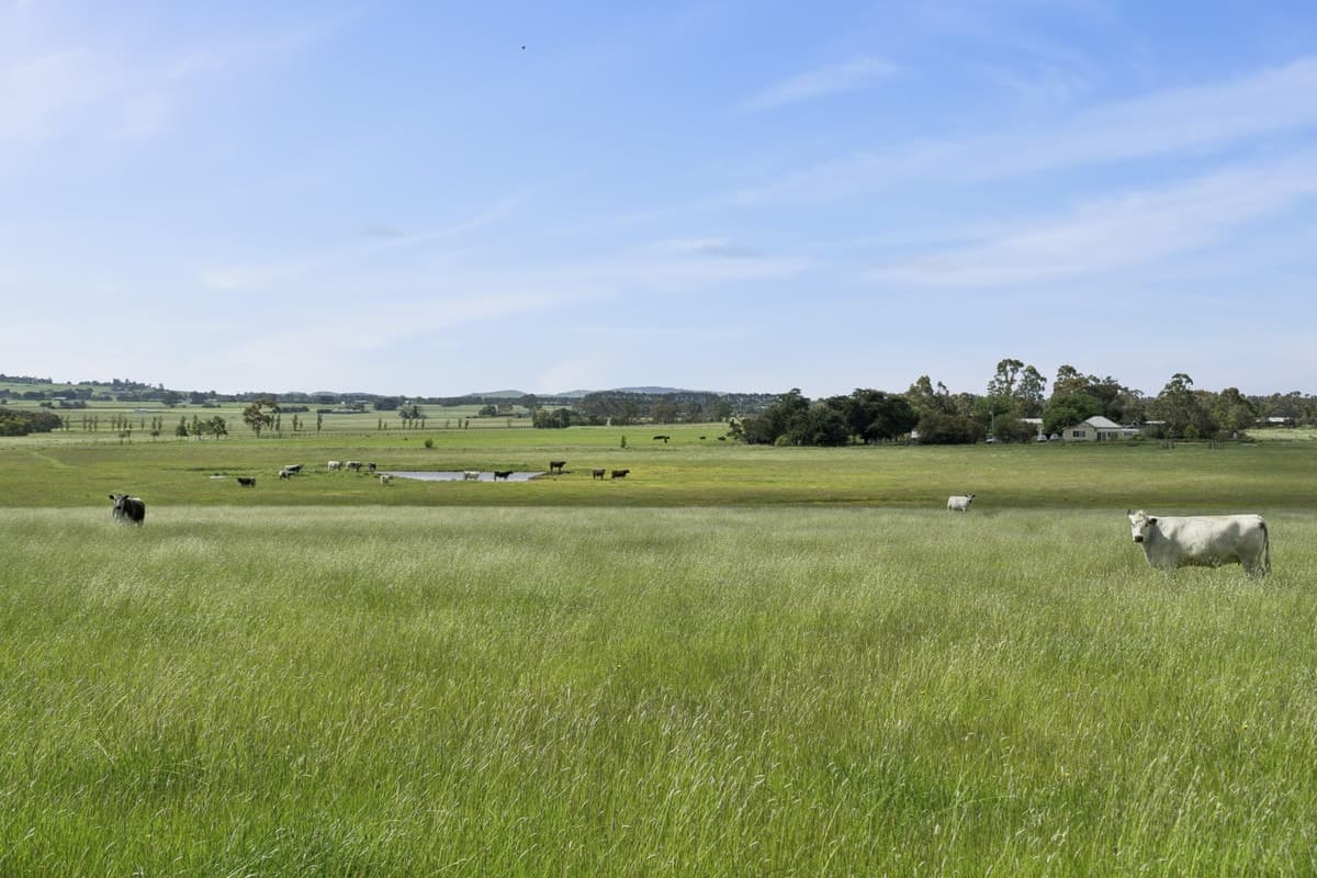 45 Holmchase Road, Elliminyt, VIC, Elliminyt - Thumbnail 7