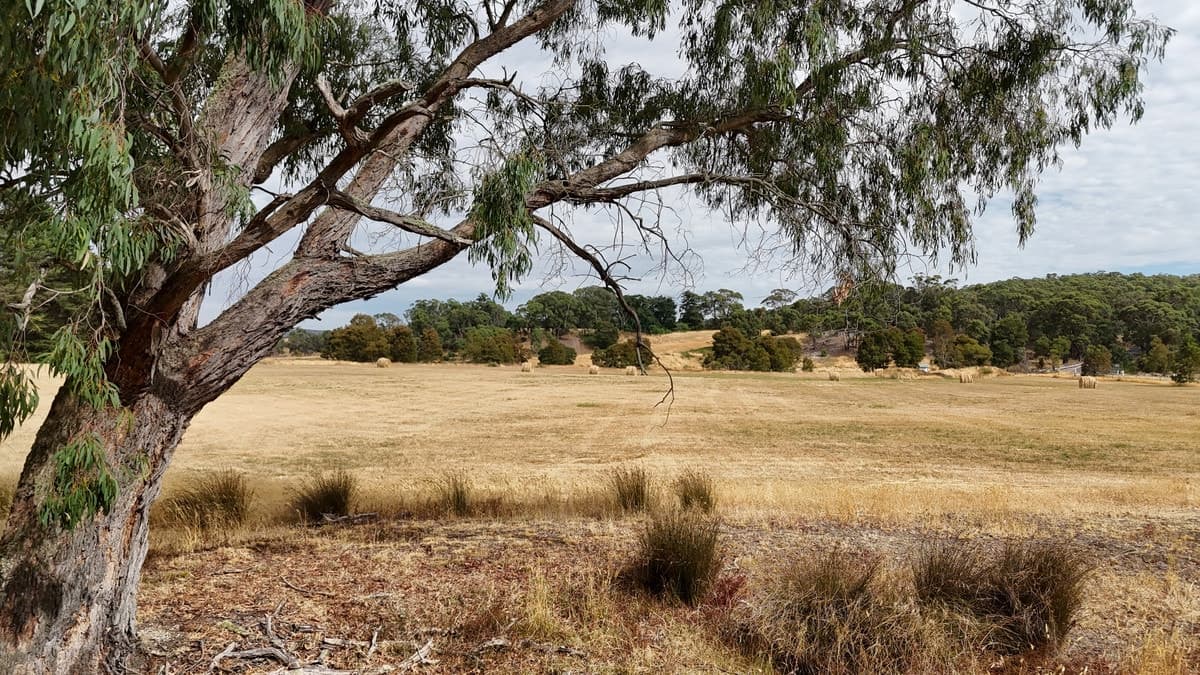 21B - E\PP2388 Staffordshire reef Road, Newtown, VIC, Newtown - Image 1