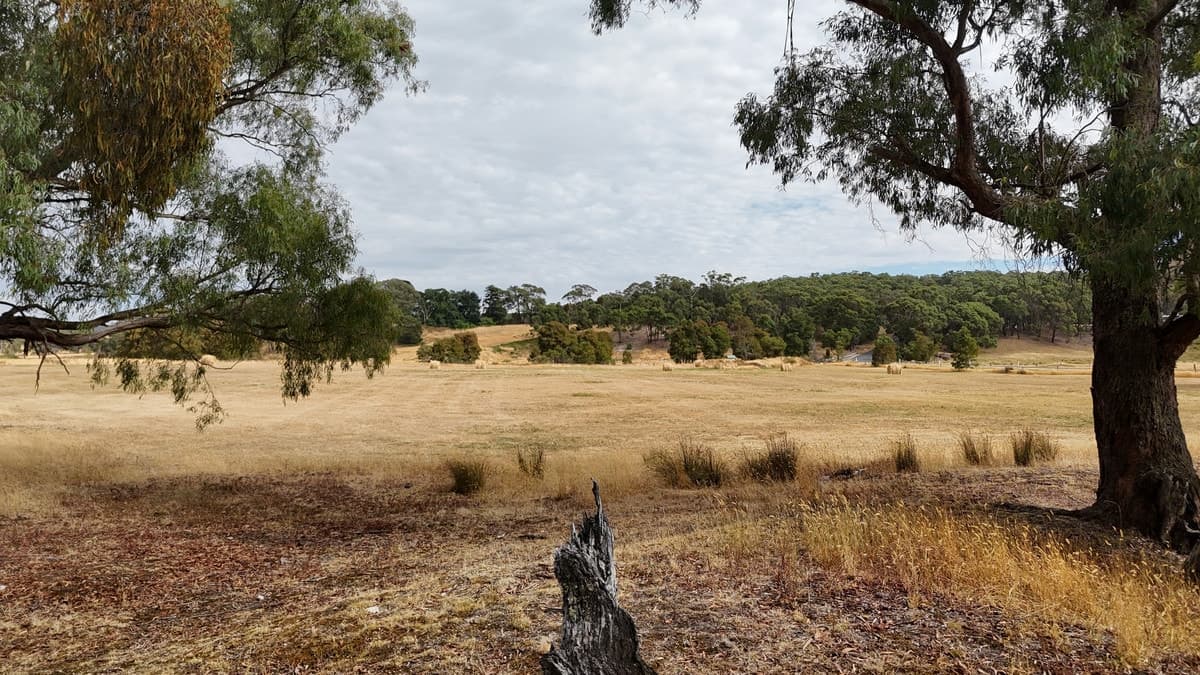 21B - E\PP2388 Staffordshire reef Road, Newtown, VIC, Newtown - Thumbnail 5