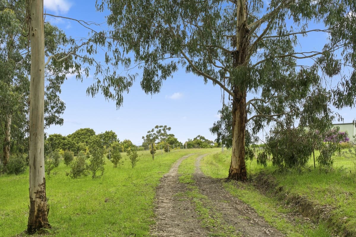640 Forrest-Apollo Bay Road, Barramunga, VIC, Barramunga - Thumbnail 4