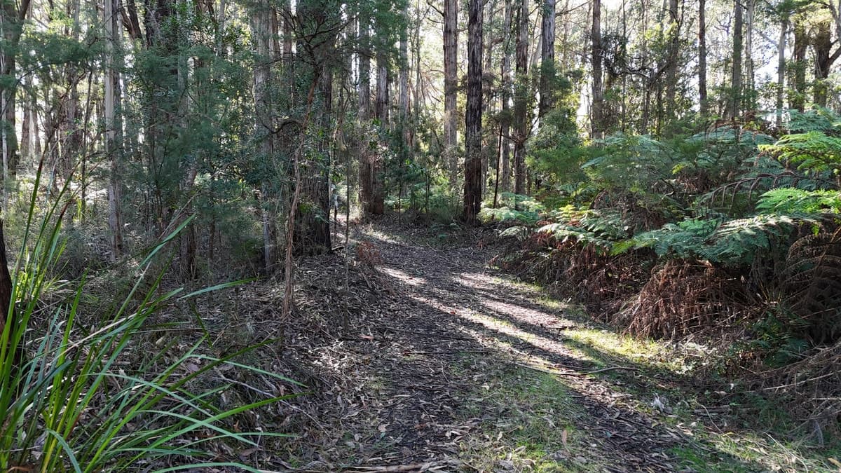 318 Old Ocean Road, Glenaire, VIC, Glenaire - Thumbnail 3