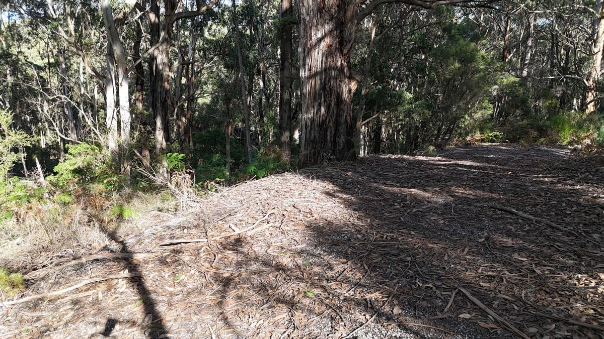 318 Old Ocean Road, Glenaire, VIC, Glenaire - Thumbnail 4