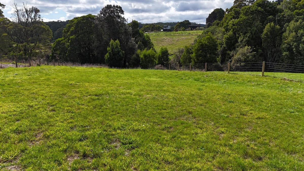 6 Lavers Hill-Cobden Road, Lavers Hill, VIC, Lavers Hill - Thumbnail 3