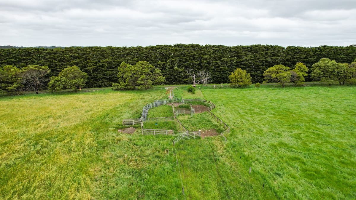 'Laguna' 495 Camerons Road, Woolsthorpe, VIC, Woolsthorpe - Thumbnail 4