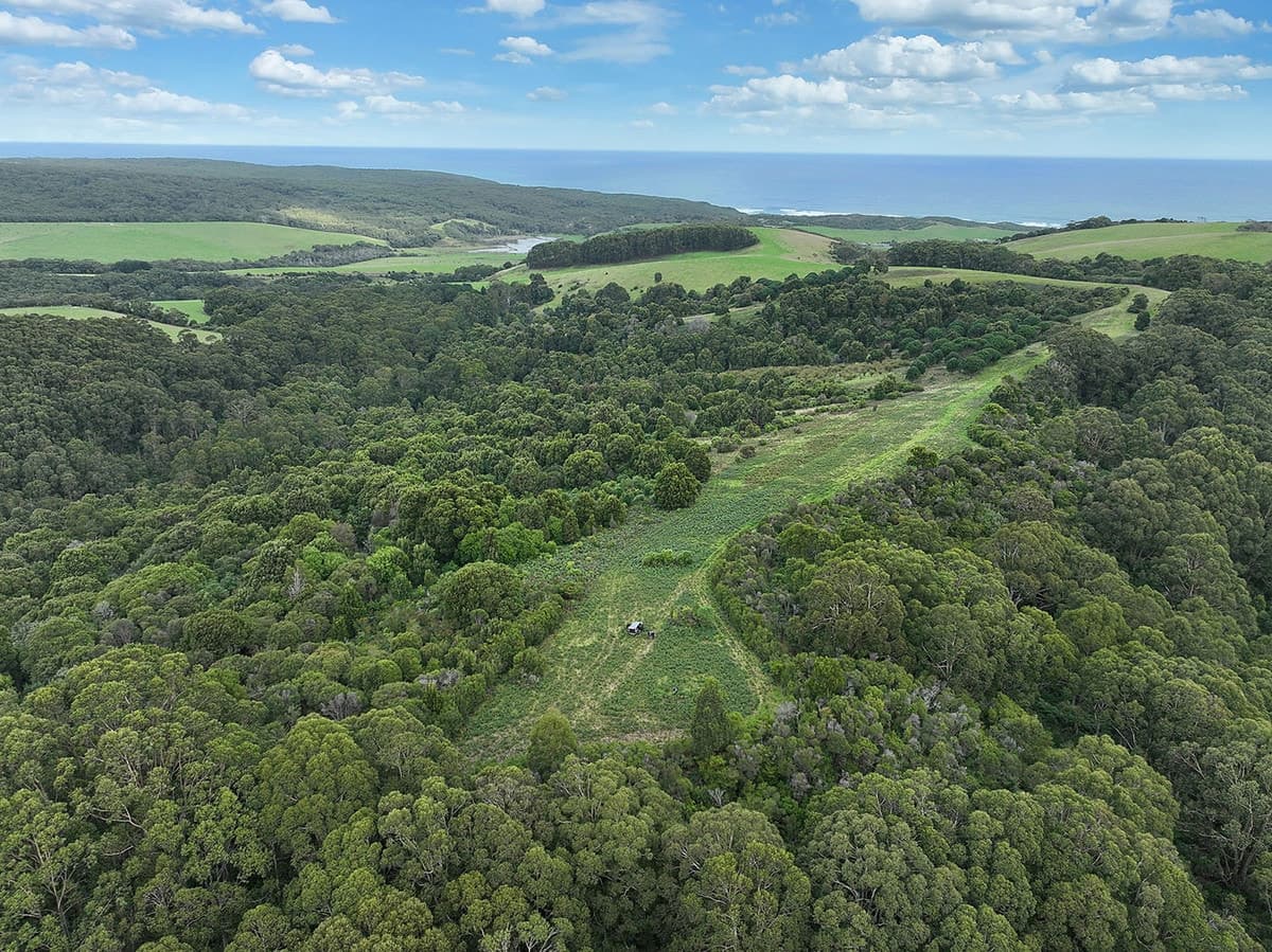 110 Staffords Road, Johanna, VIC, Johanna - Image 1