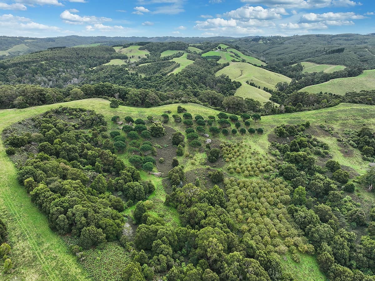 110 Staffords Road, Johanna, VIC, Johanna - Thumbnail 6
