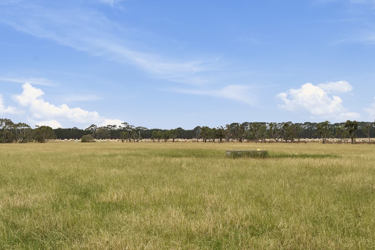 Castle Carey Road, Glenormiston North, VIC, Glenormiston North - Thumbnail 5