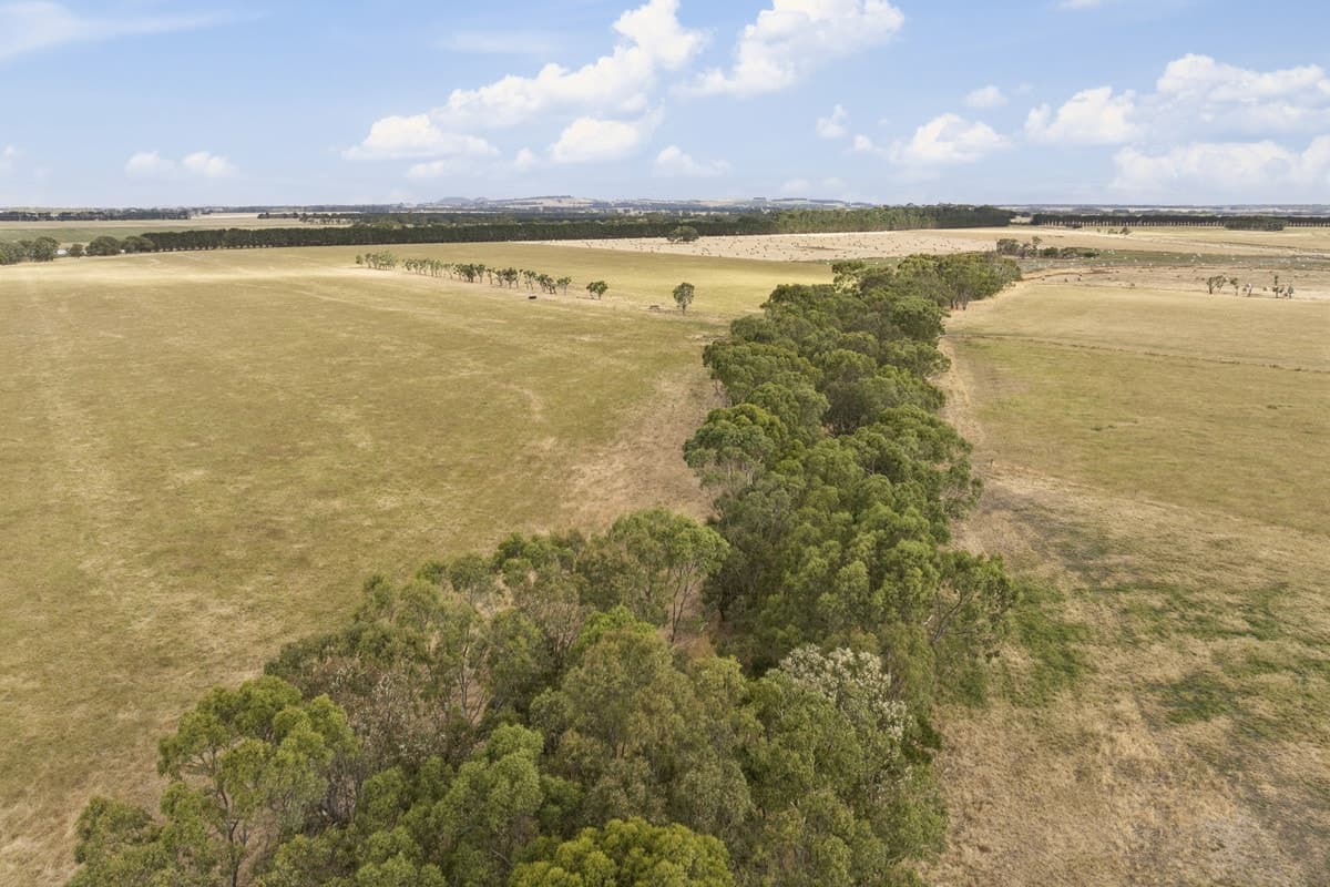 Castle Carey Road, Glenormiston North, VIC, Glenormiston North - Thumbnail 8