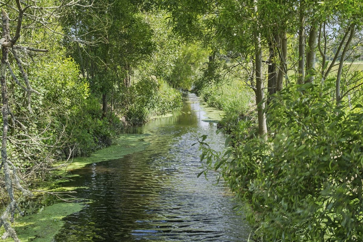 2520 Carlisle Road, Carlisle River, VIC, Carlisle River - Thumbnail 2