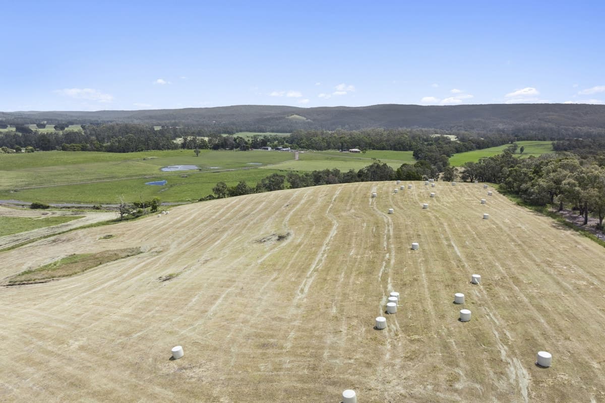 2520 Carlisle Road, Carlisle River, VIC, Carlisle River - Thumbnail 4
