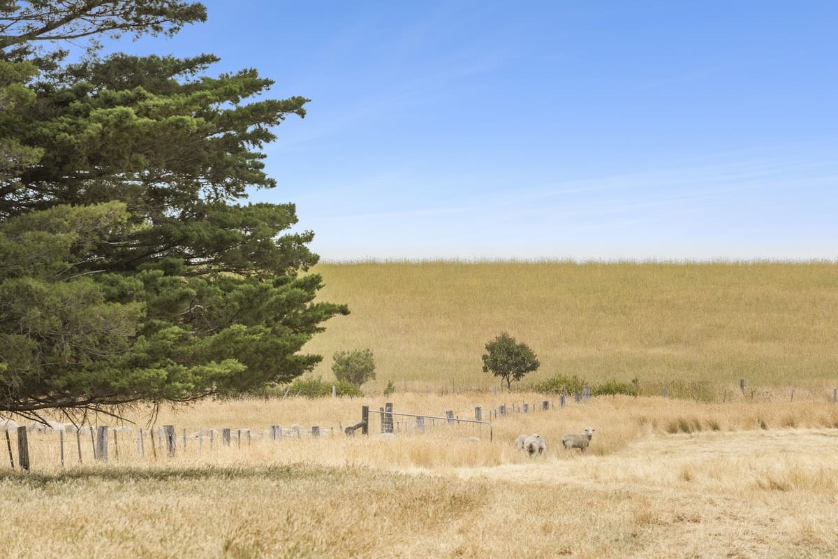 695 Reservoir Road, Mount Moriac, VIC, Mount Moriac - Thumbnail 6