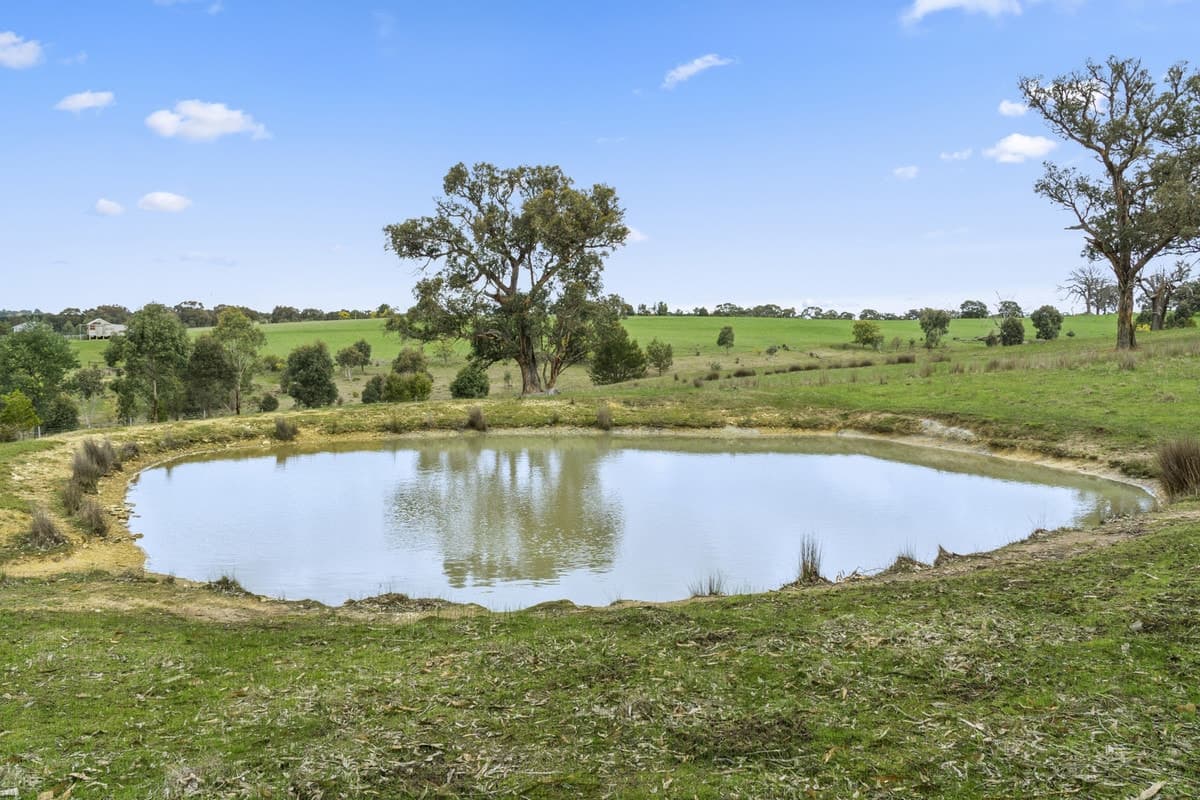 1526 Buninyong-Mt Mercer Road, Grenville, VIC, Grenville - Thumbnail 4