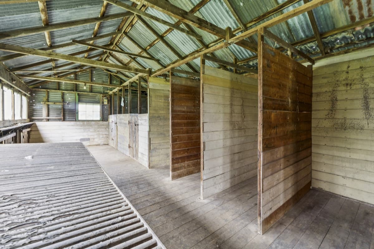 1526 Buninyong-Mt Mercer Road, Grenville, VIC, Grenville - Thumbnail 7