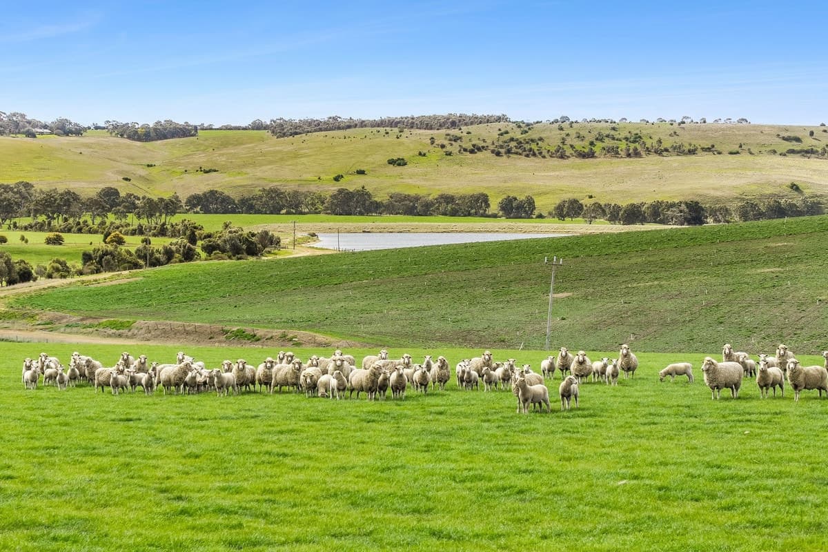 2/223 Bakers Road, Russells Bridge, VIC, Russells Bridge - Thumbnail 7