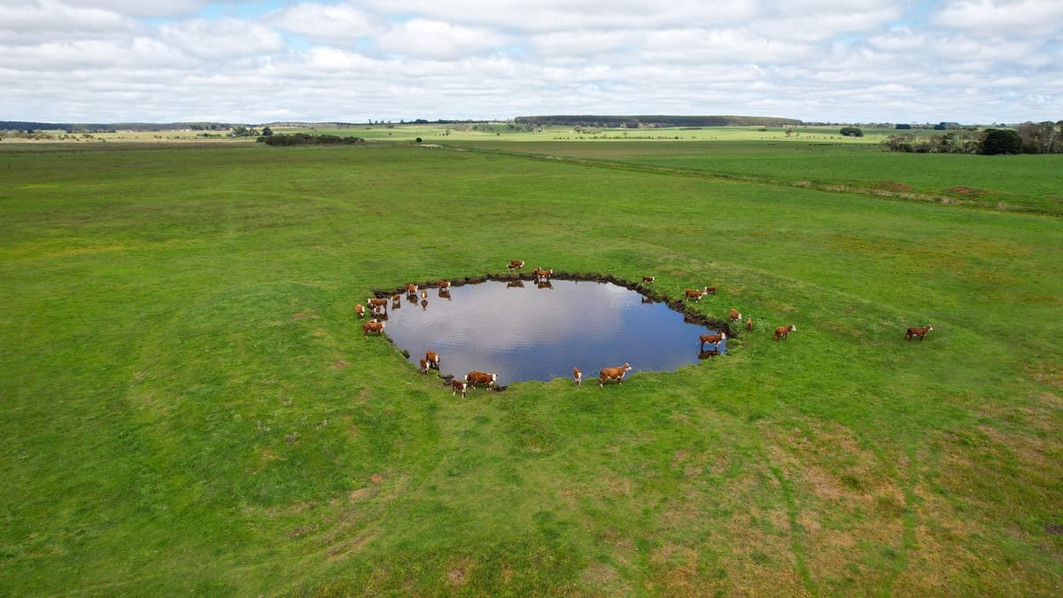 Brians Road, Breakaway Creek, VIC, Breakaway Creek - Image 1