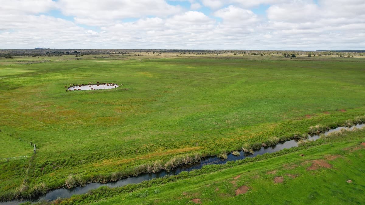 Brians Road, Breakaway Creek, VIC, Breakaway Creek - Thumbnail 2