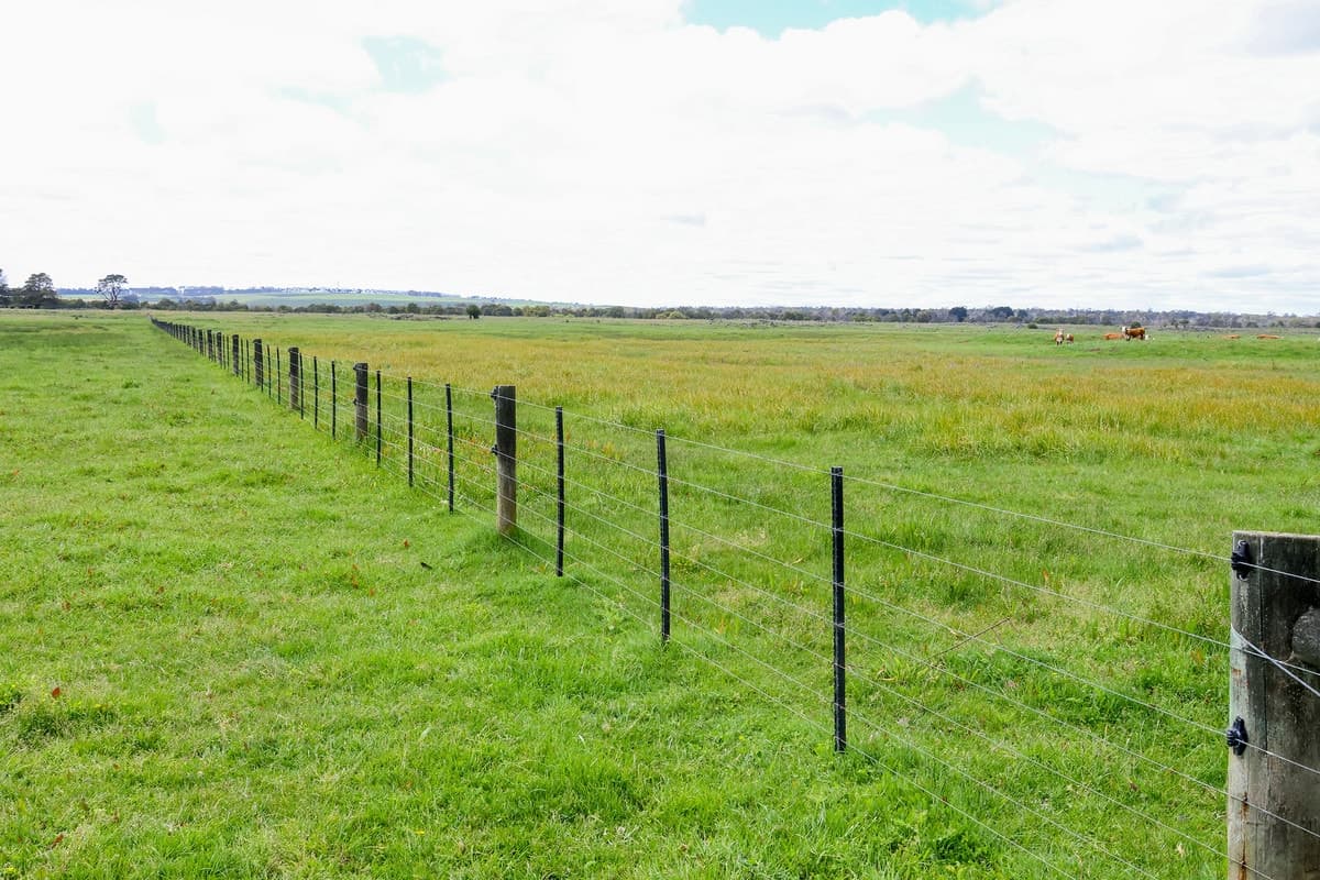 Brians Road, Breakaway Creek, VIC, Breakaway Creek - Thumbnail 7