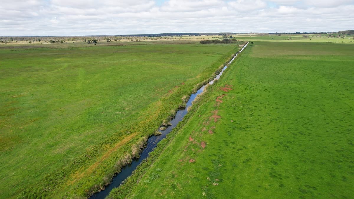 Brians Road, Breakaway Creek, VIC, Breakaway Creek - Thumbnail 8