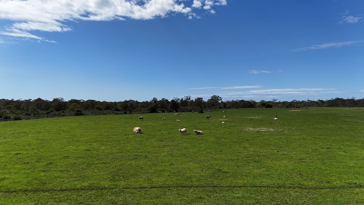 220 Harlocks Road, Pomborneit North, VIC, Pomborneit North - Thumbnail 3