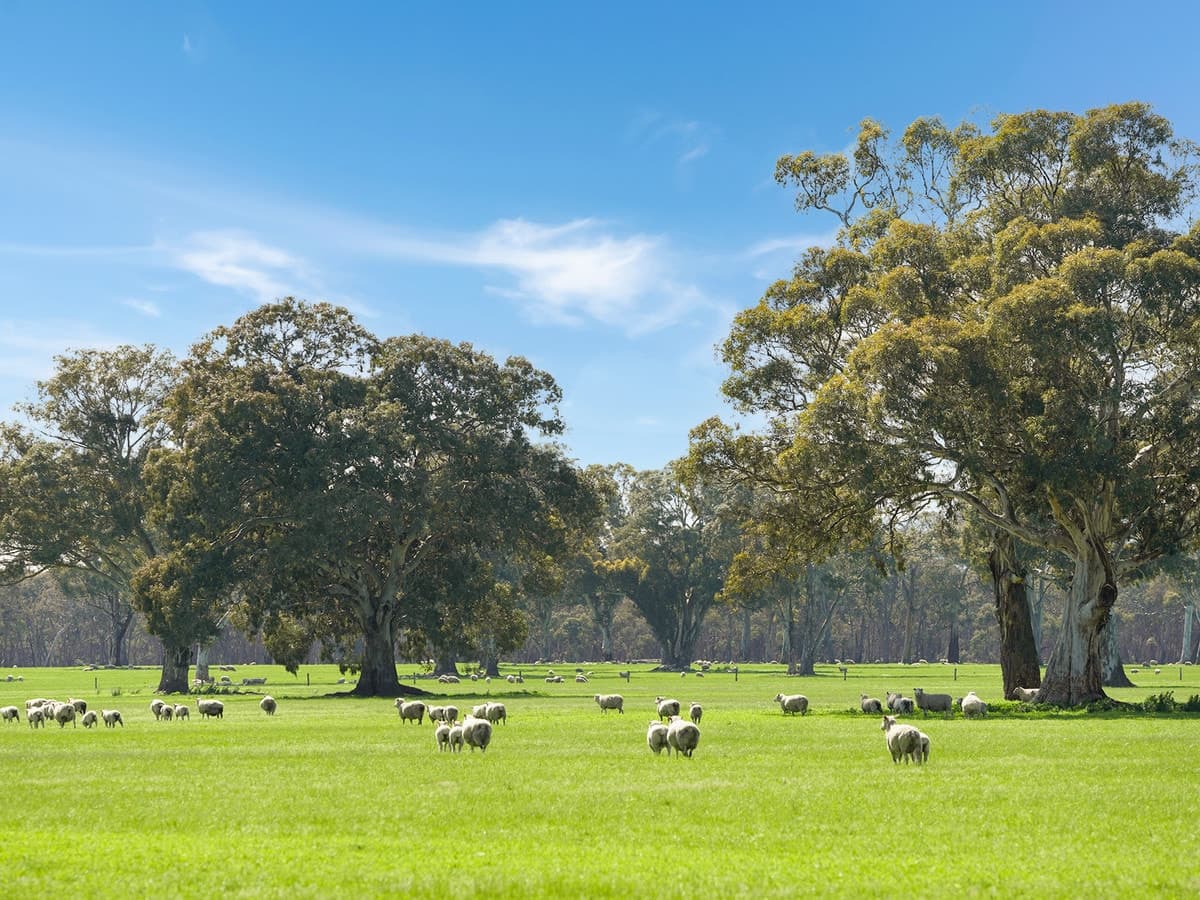 813 Yarramyljup Road, Rocklands, VIC, Rocklands - Thumbnail 2