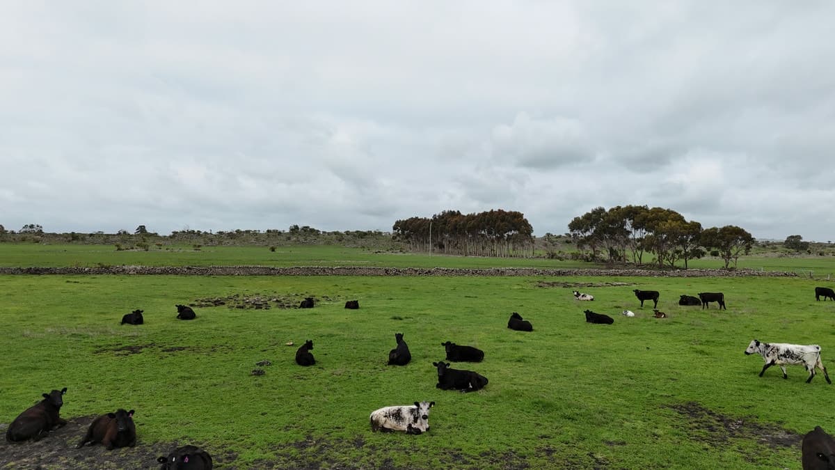 205 South Cundare Road, Beeac, VIC, Beeac - Thumbnail 3