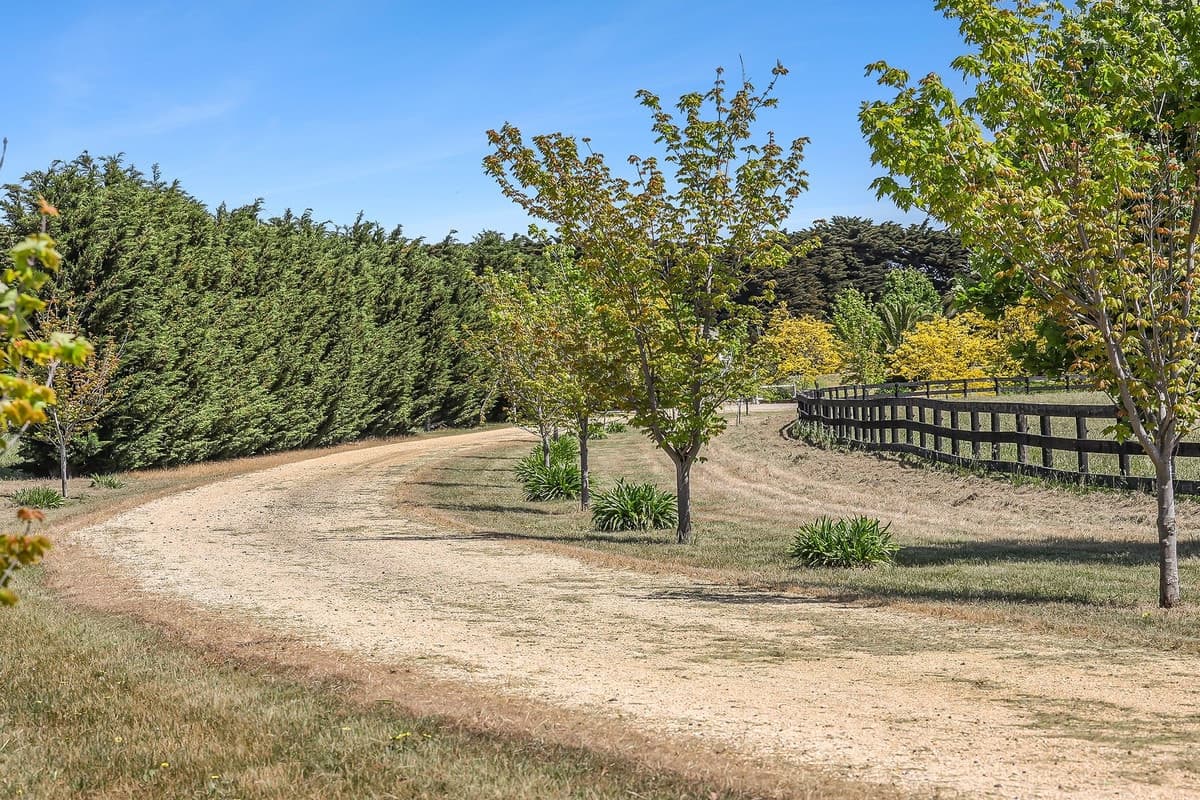 2780 Cape Otway Road, Winchelsea, VIC, Winchelsea - Thumbnail 6