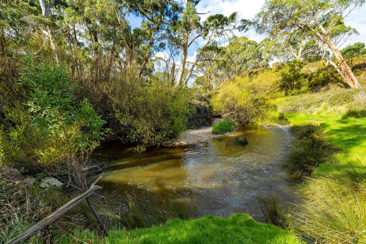 149 Kellys Road, Grenville, VIC, Grenville - Thumbnail 3