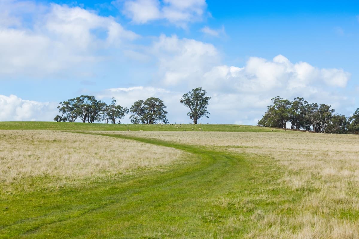 149 Kellys Road, Grenville, VIC, Grenville - Thumbnail 7