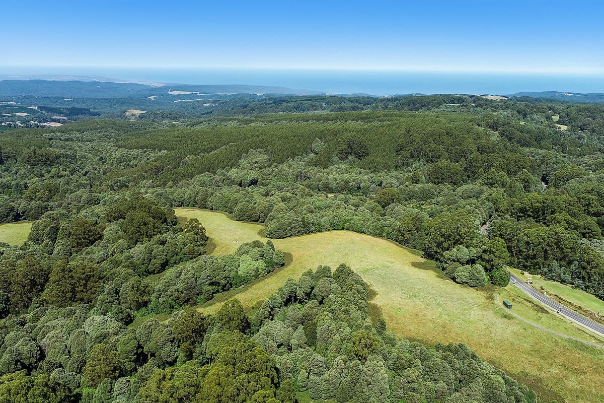 3 & 6 Colac Lavers Hill Road, Lavers Hill, VIC, Lavers Hill - Thumbnail 7