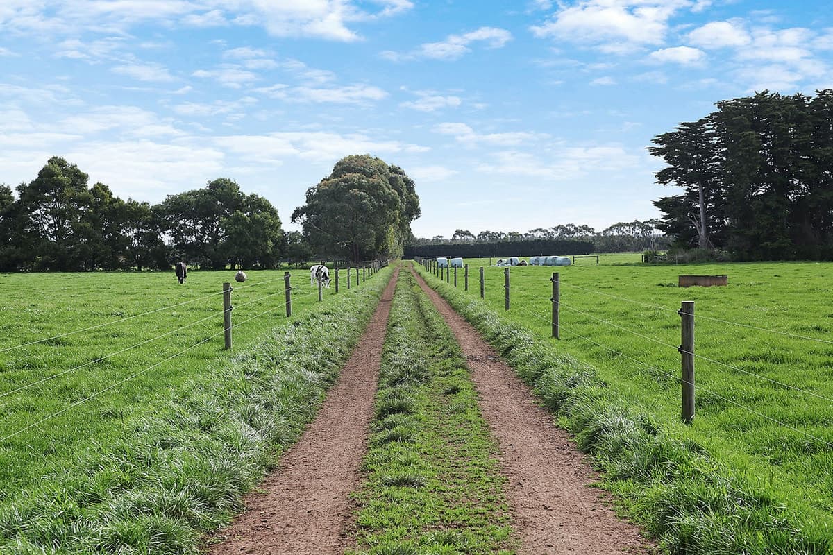 570 Swan Marsh Road, Swan Marsh, VIC, Swan Marsh - Thumbnail 2