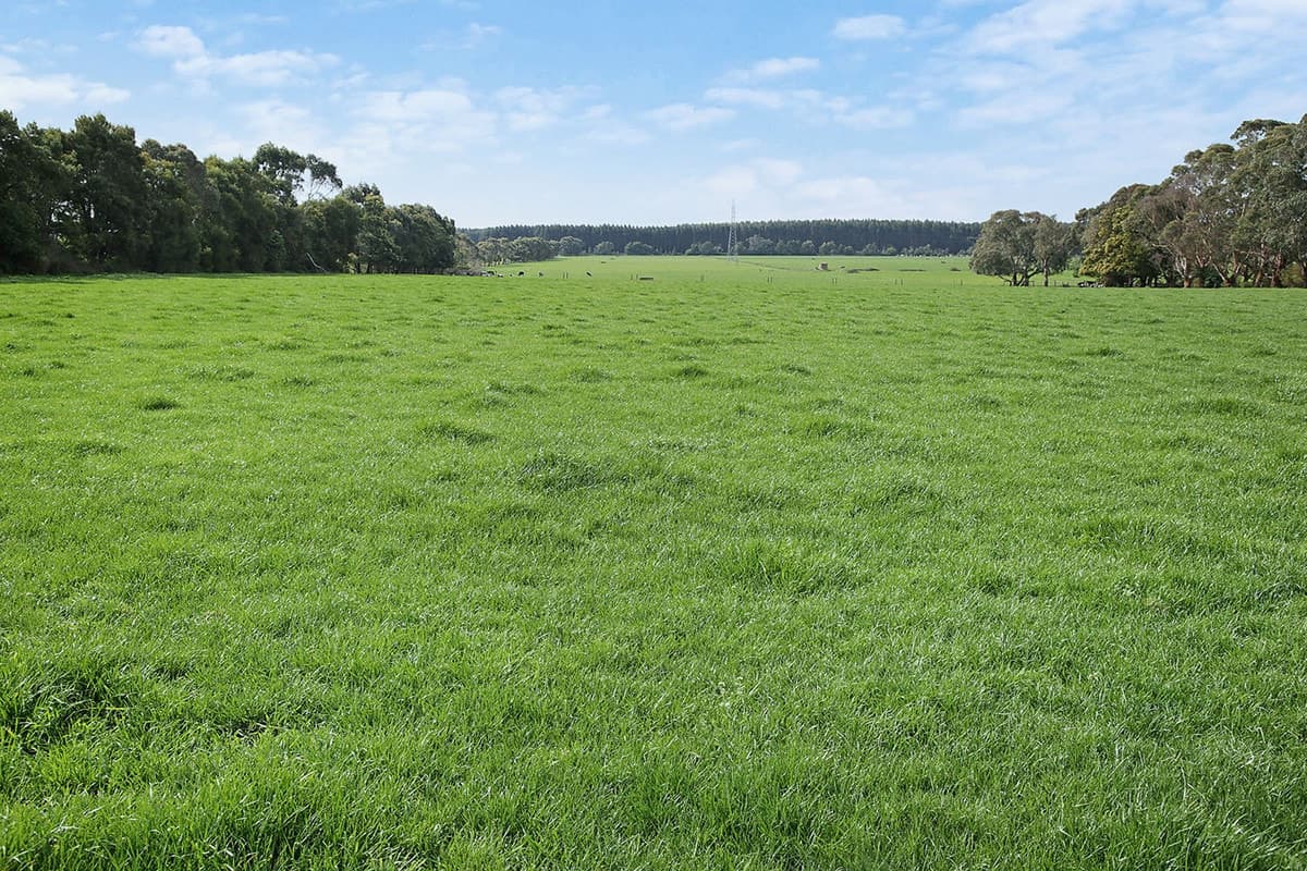 570 Swan Marsh Road, Swan Marsh, VIC, Swan Marsh - Thumbnail 3